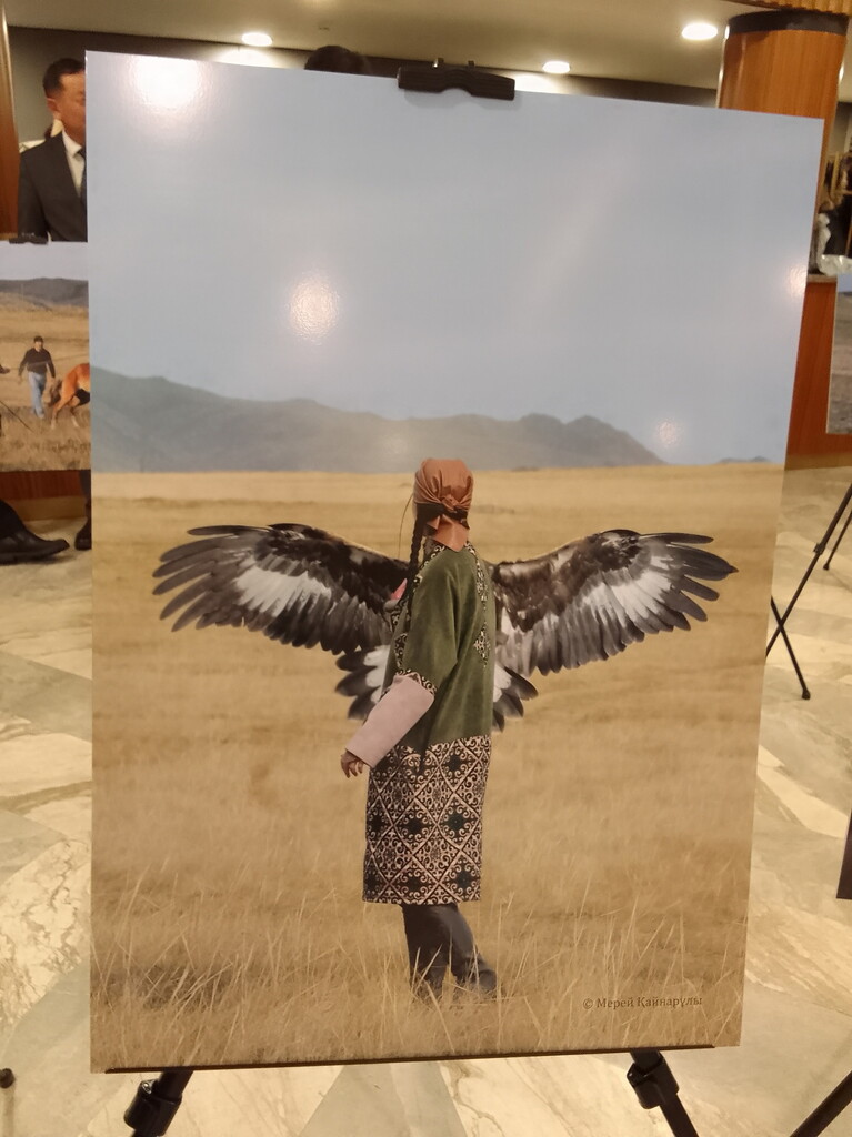 Фотогалерея — фото 8