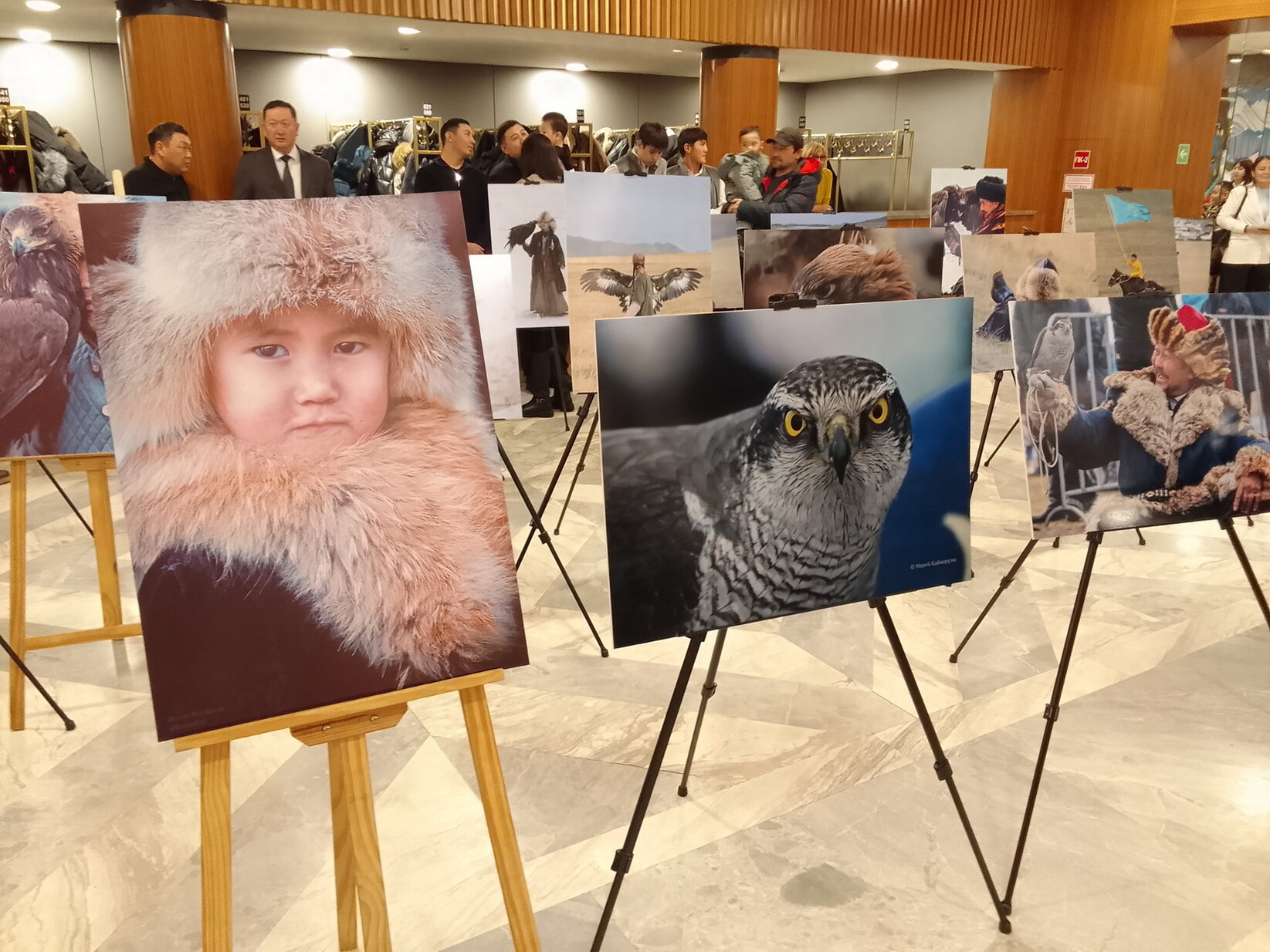 Фотогалерея — фото 2