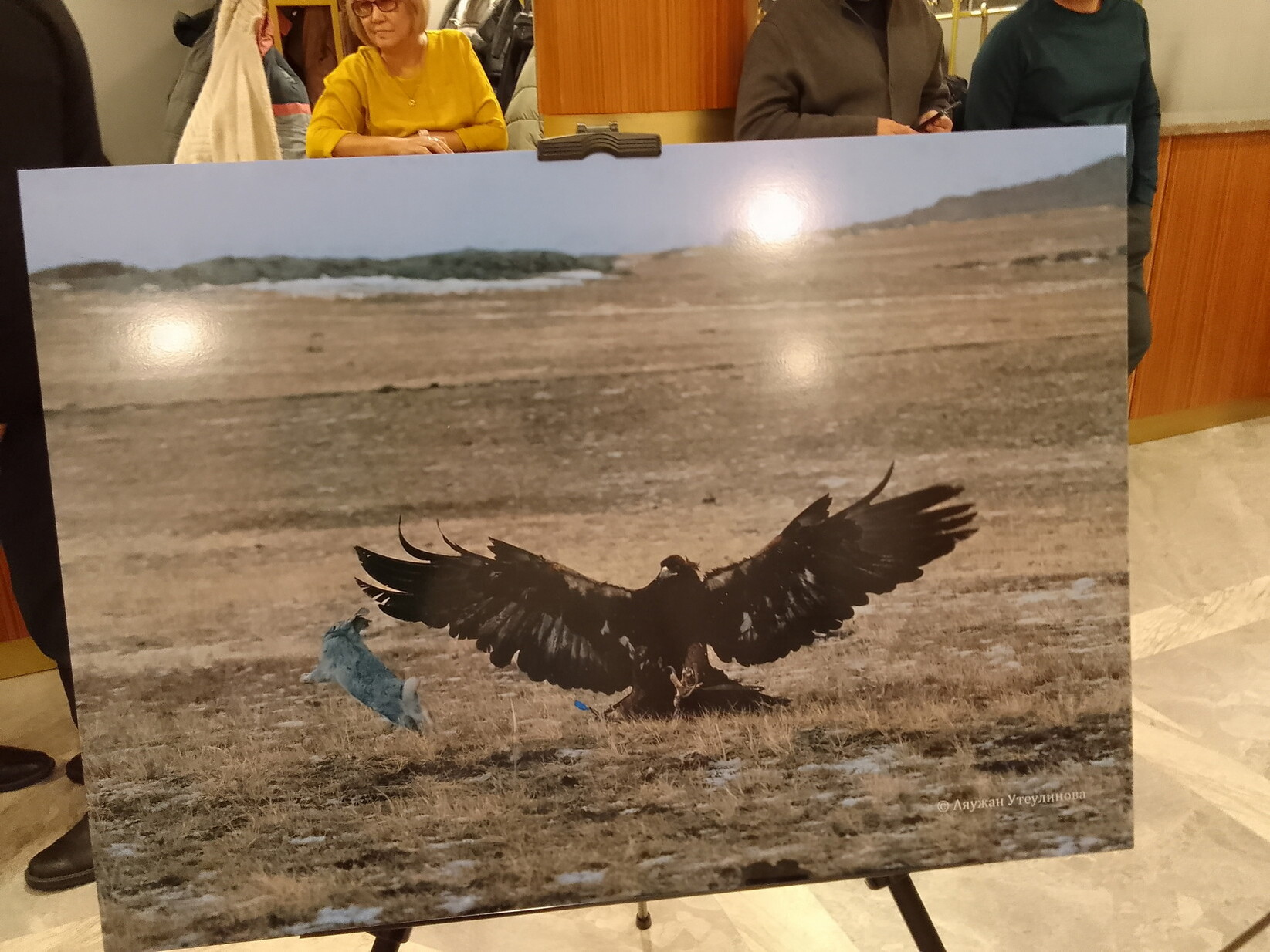 Фотогалерея — фото 6