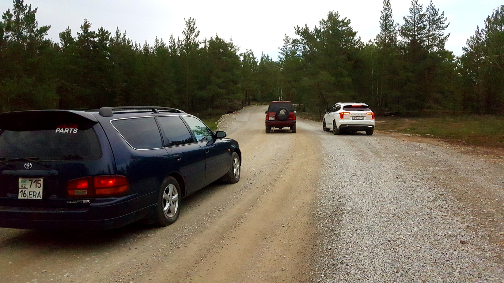 Фотогалерея — фото 2
