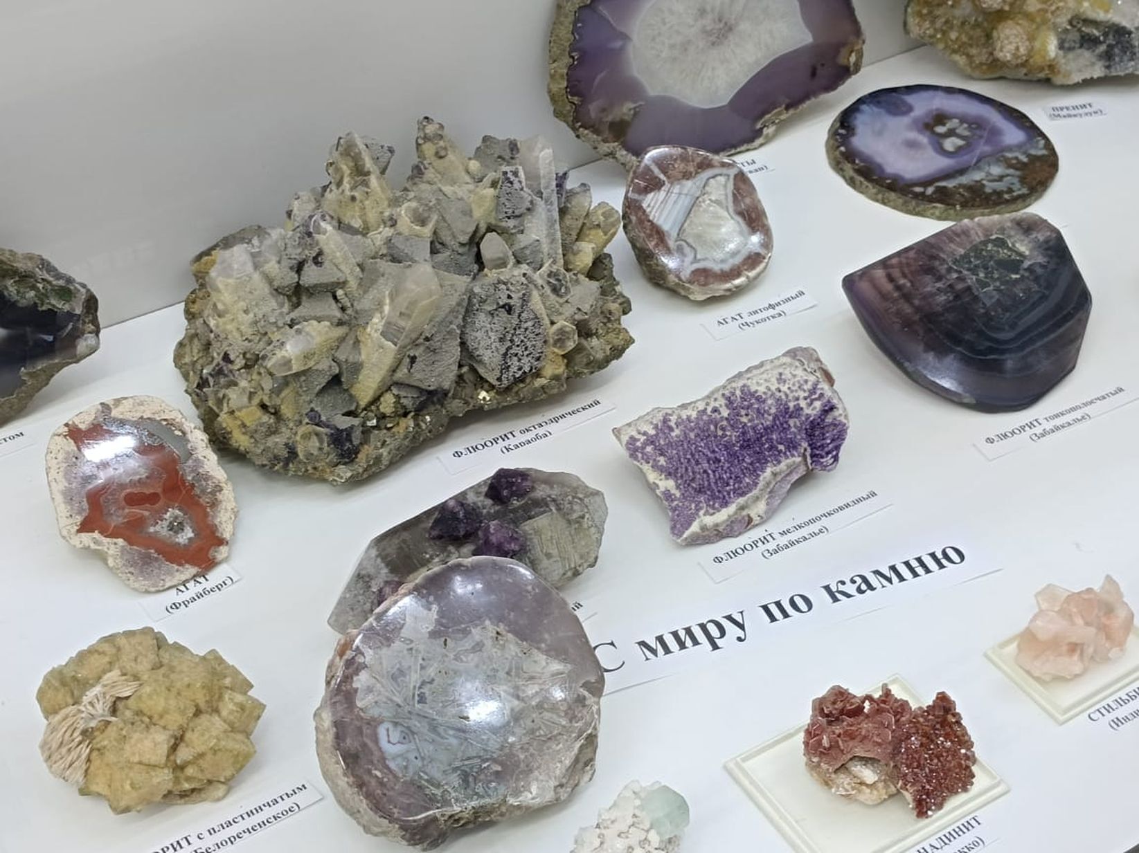 Фотогалерея — фото 1