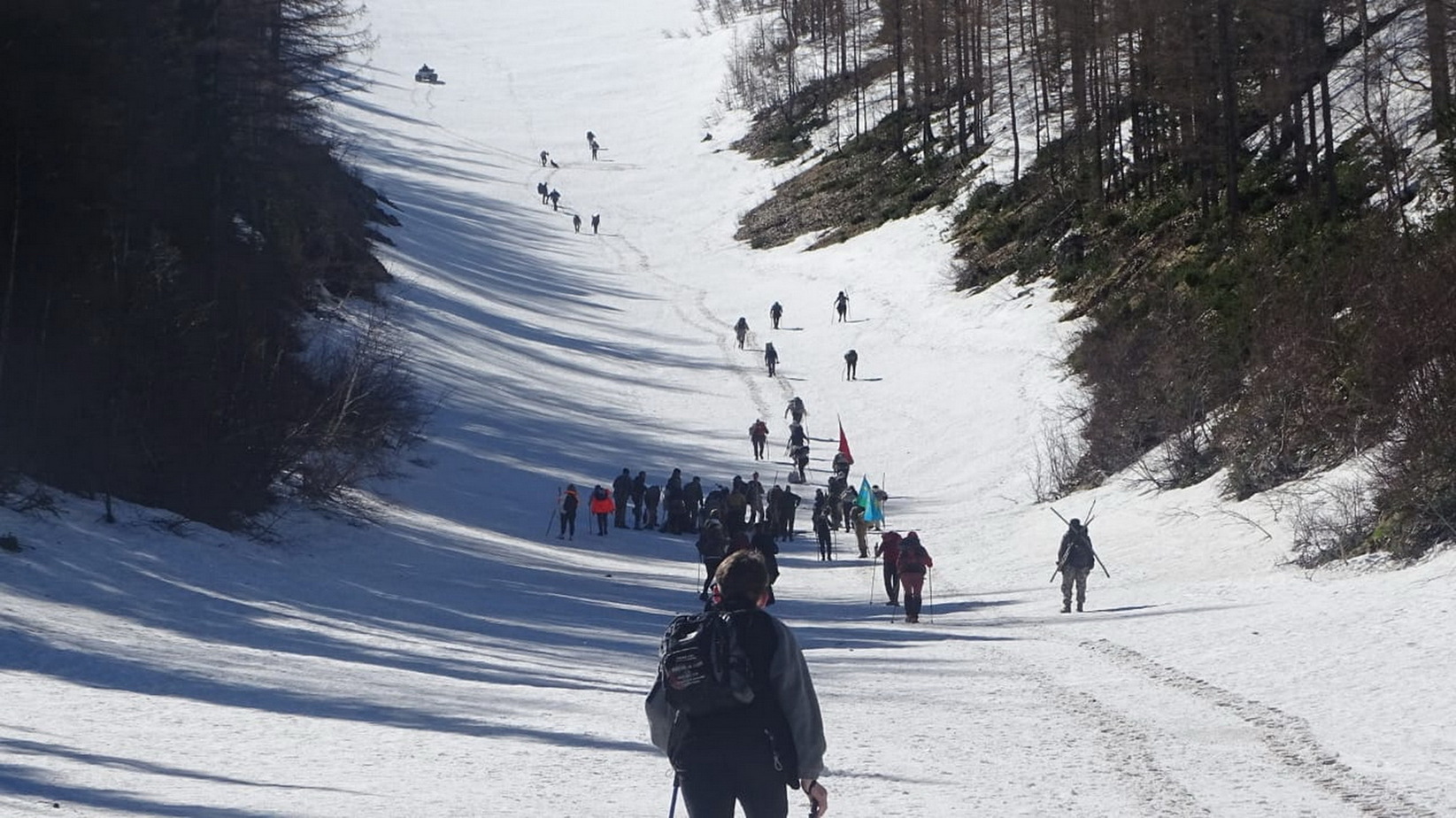 Фотогалерея — фото 1