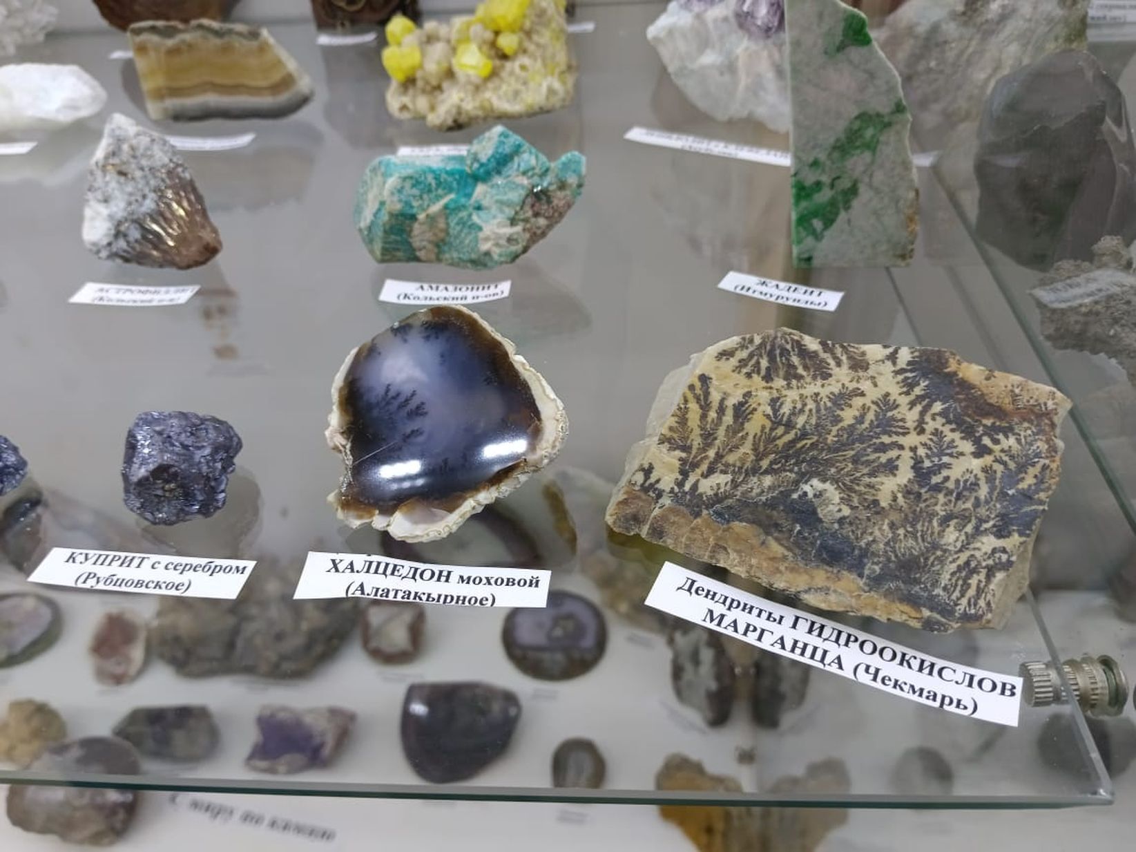 Фотогалерея — фото 3