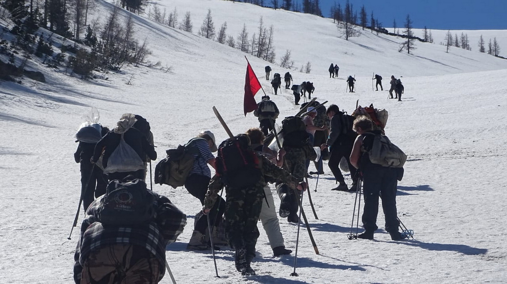 Фотогалерея — фото 7