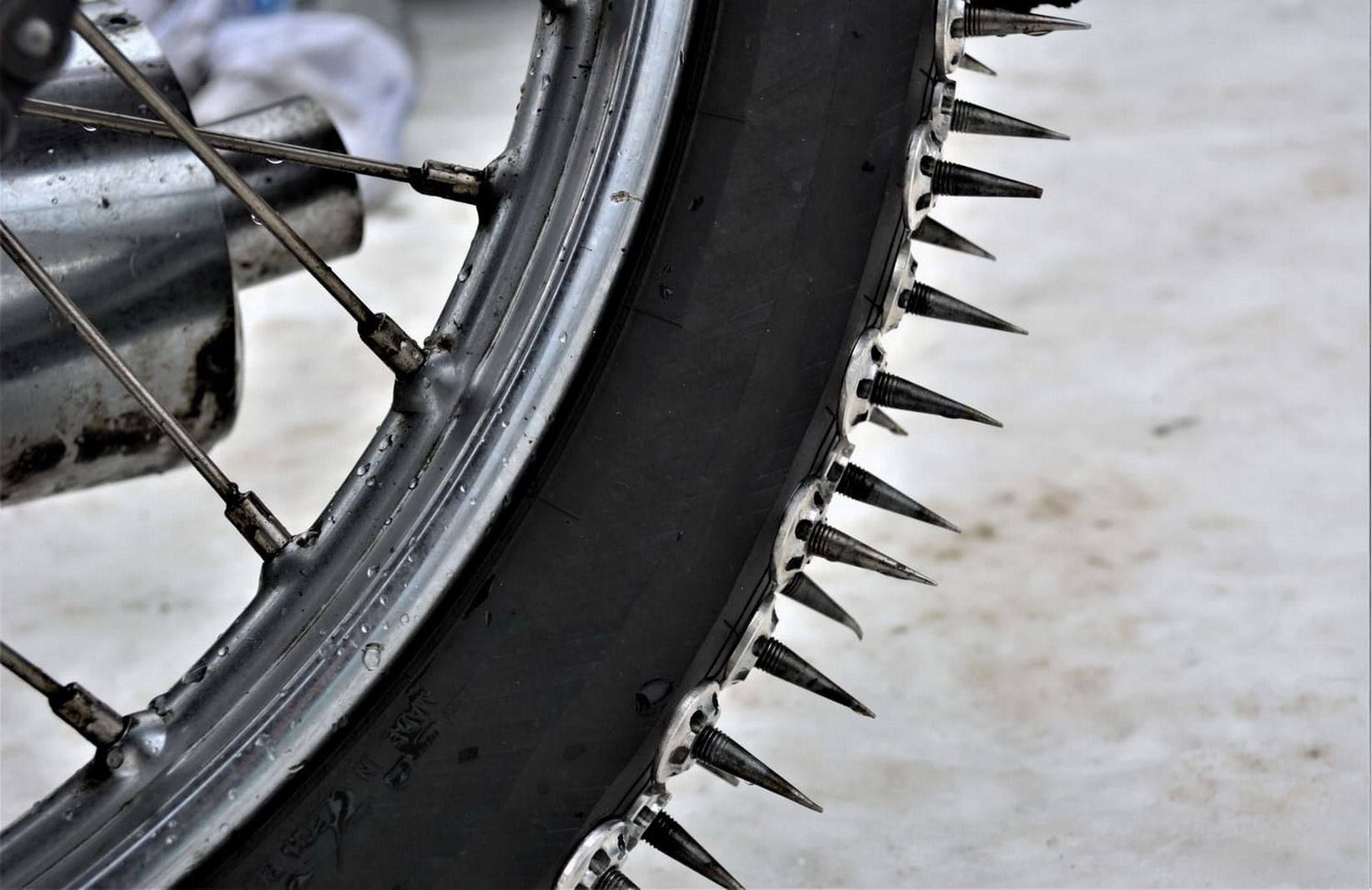 Фотогалерея — фото 14