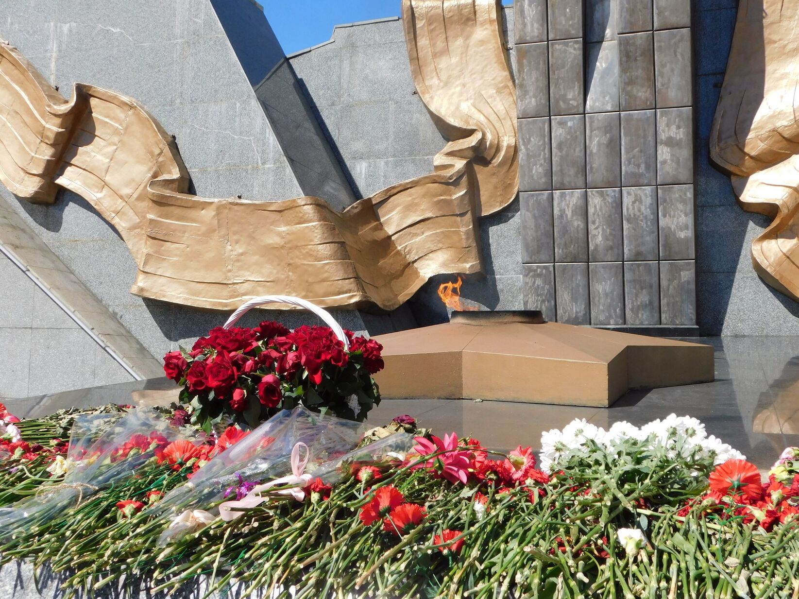 Фотогалерея — фото 7