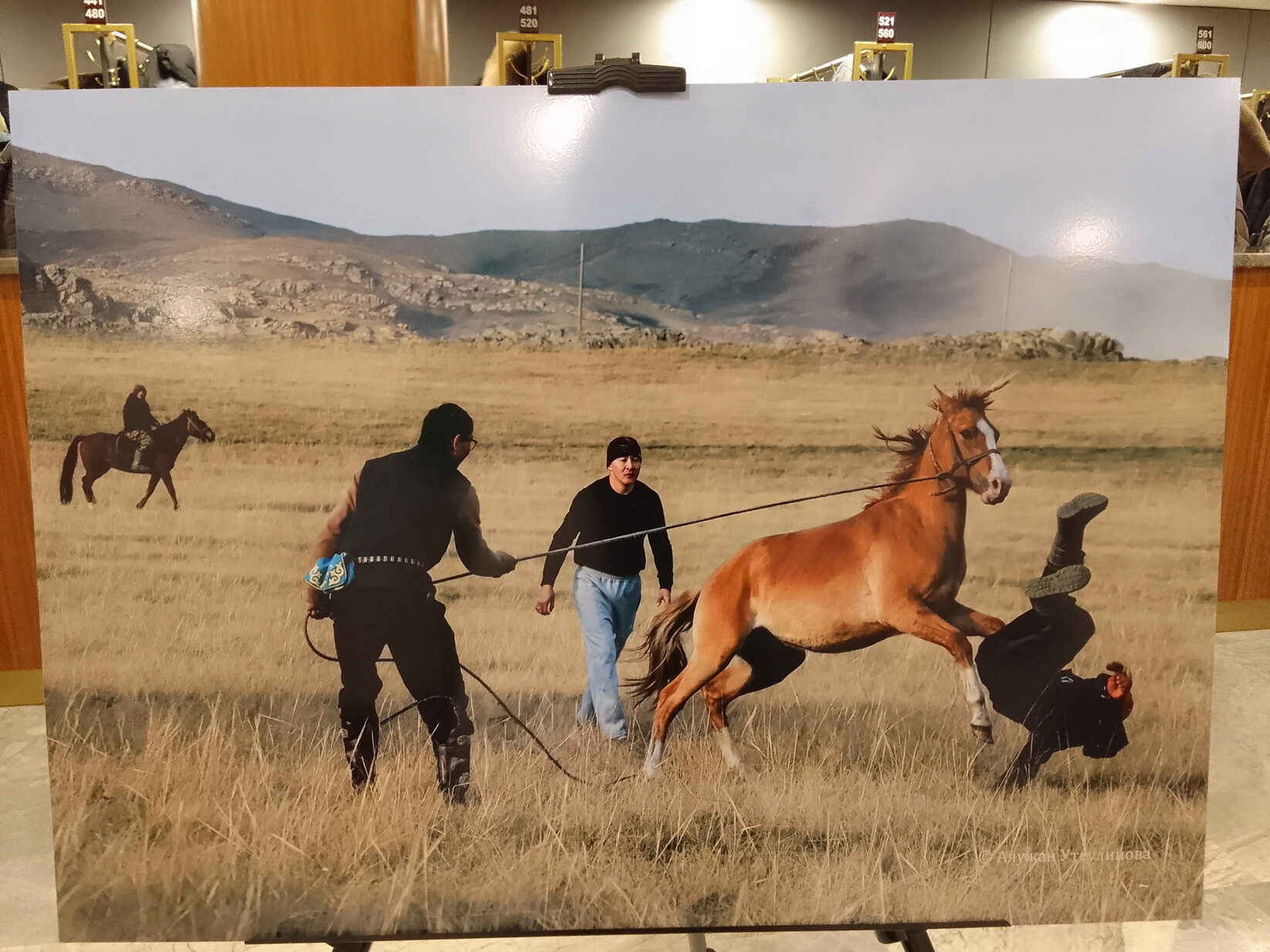 Фотогалерея — фото 5