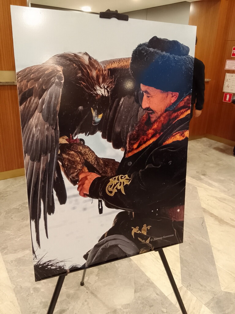 Фотогалерея — фото 1