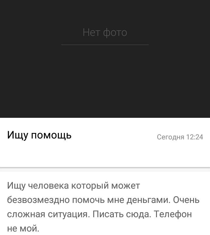 Остров на Бухтарме, слон и собутыльник на час: подборка нестандартных предложений от жителей ВКО