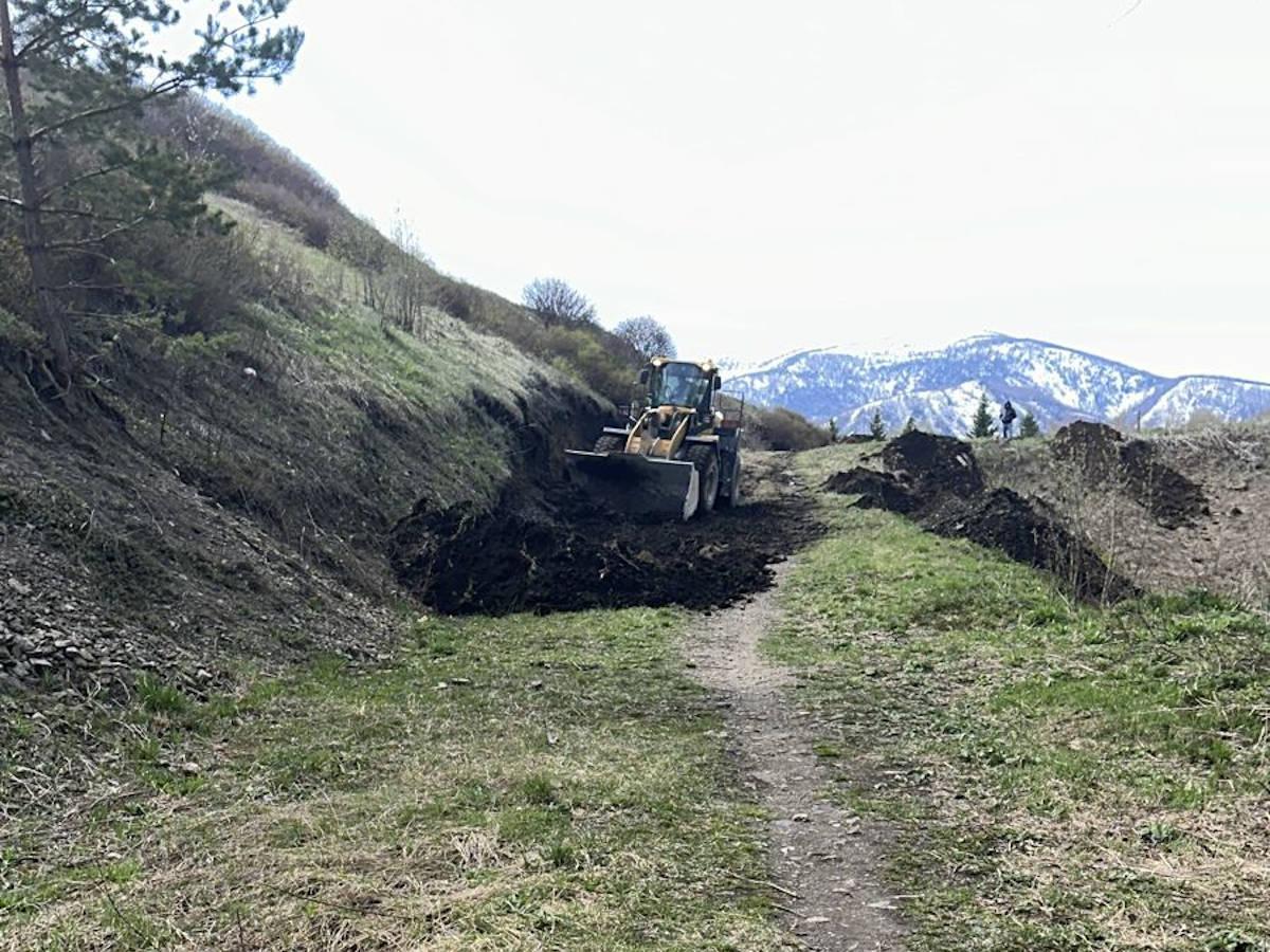 В Риддере началось строительство лыжероллерной трассы