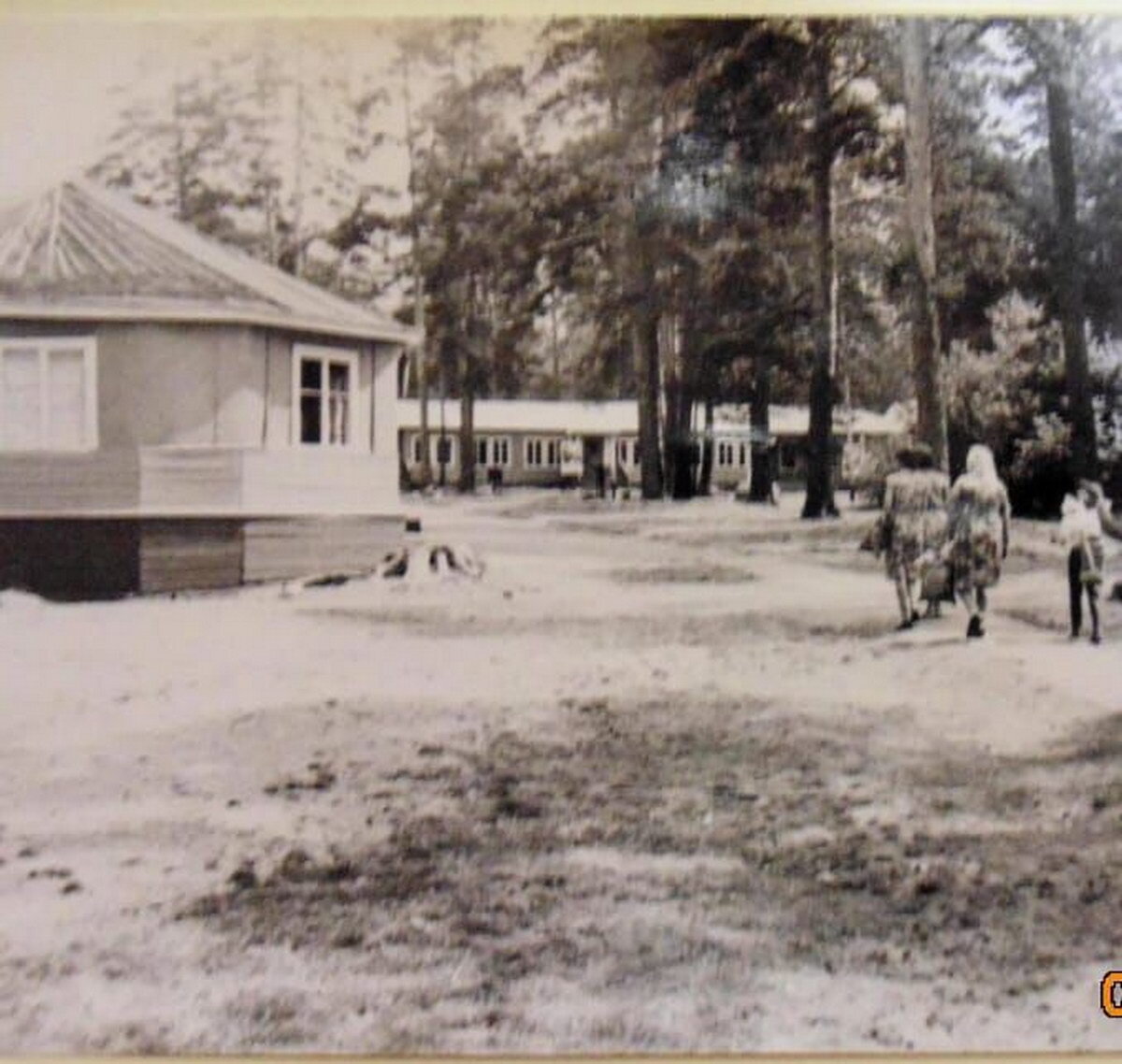 Перспективы возрождения системы детского отдыха в ВКО