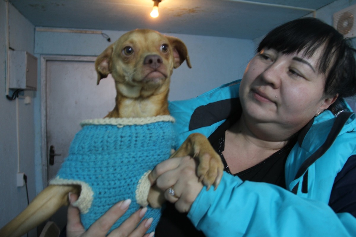 Как зимуют животные одного из приютов Усть-Каменогорска