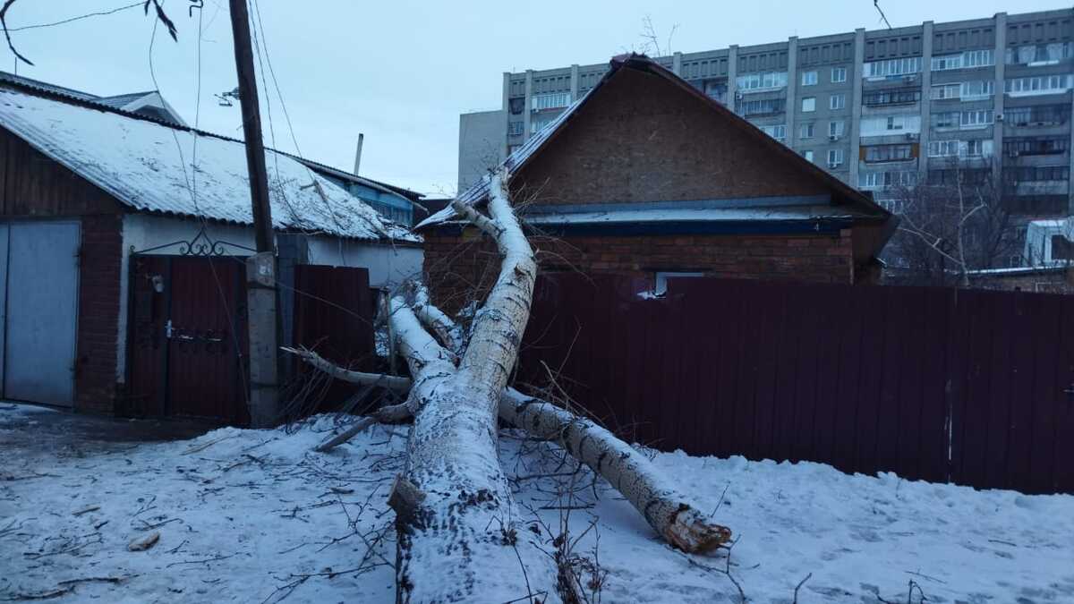 В Усть-Каменогорске ветром повалило деревья
