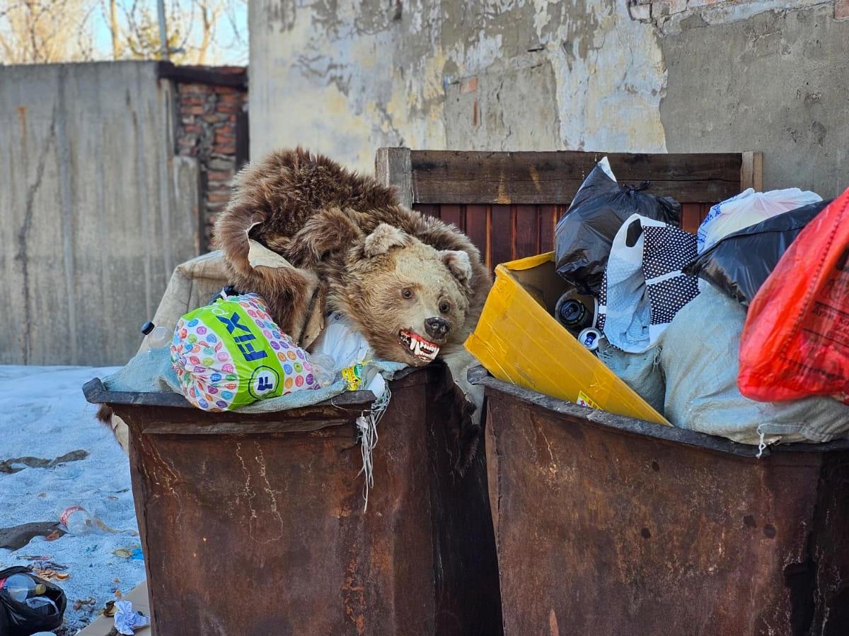 В Усть-Каменогорске в мусорном баке обнаружили "шкуру медведя"