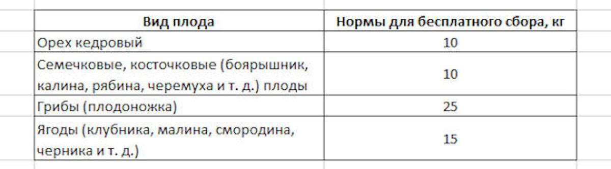 Сколько ягод, грибов, орехов может бесплатно собрать каждый человек?