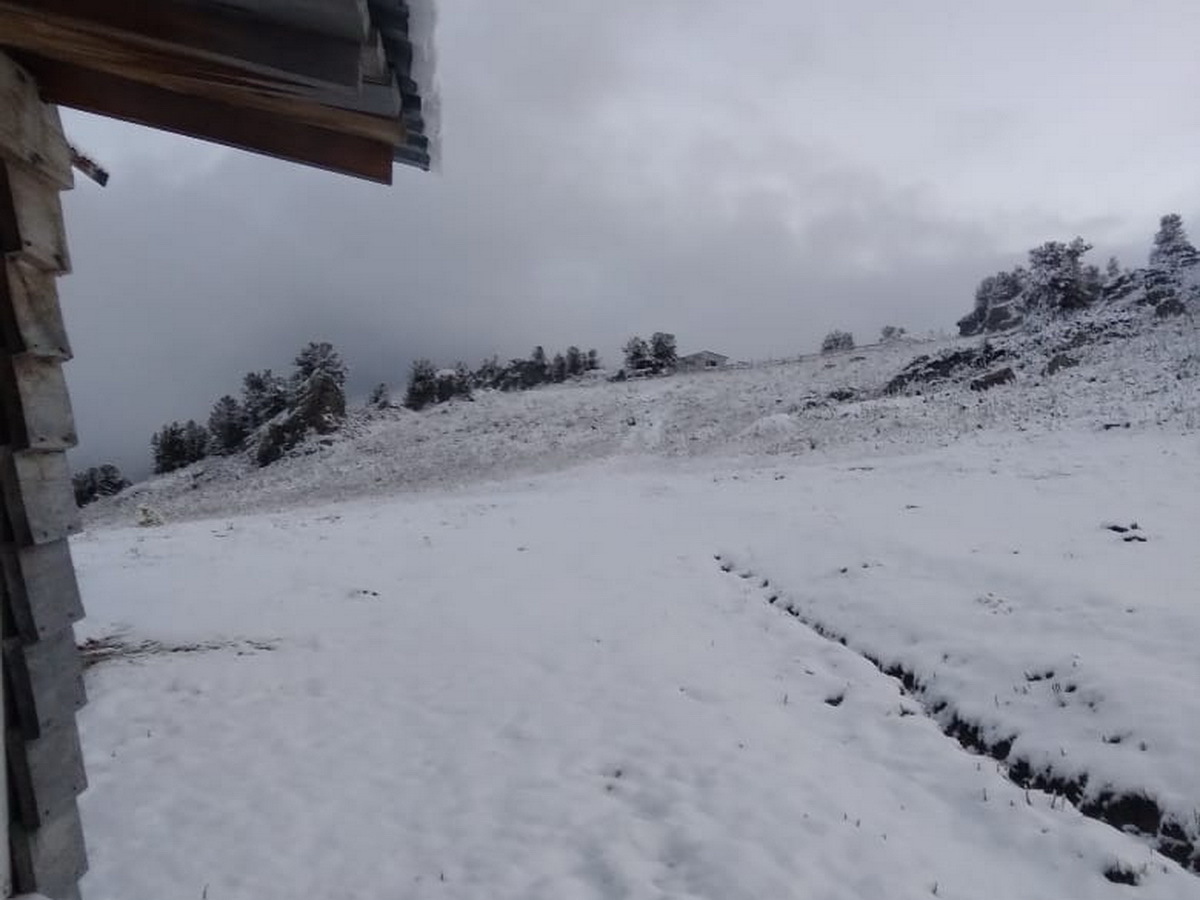 В горных районах ВКО в ближайшие дни ожидается мокрый снег