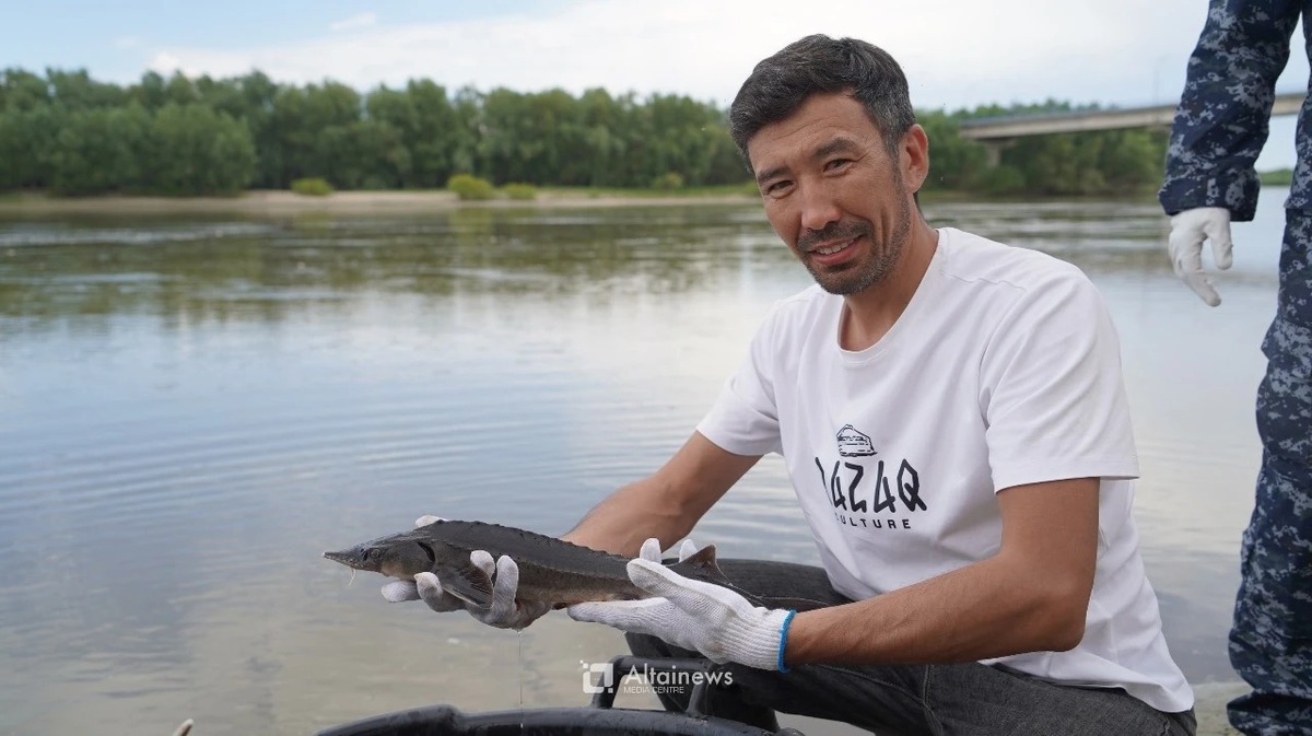 В ВКО в верховьях Иртыша провели зарыбление сибирским осетром 