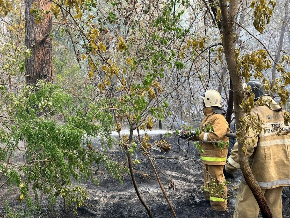 Пожары в Абайской области: трое погибших, 11 пропавших