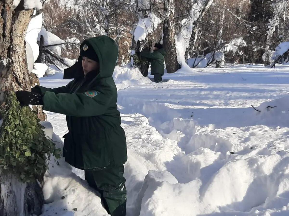 В ВКО подкармливают диких животных