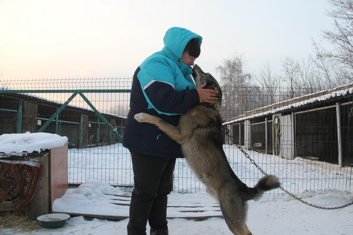 Как зимуют животные одного из приютов Усть-Каменогорска