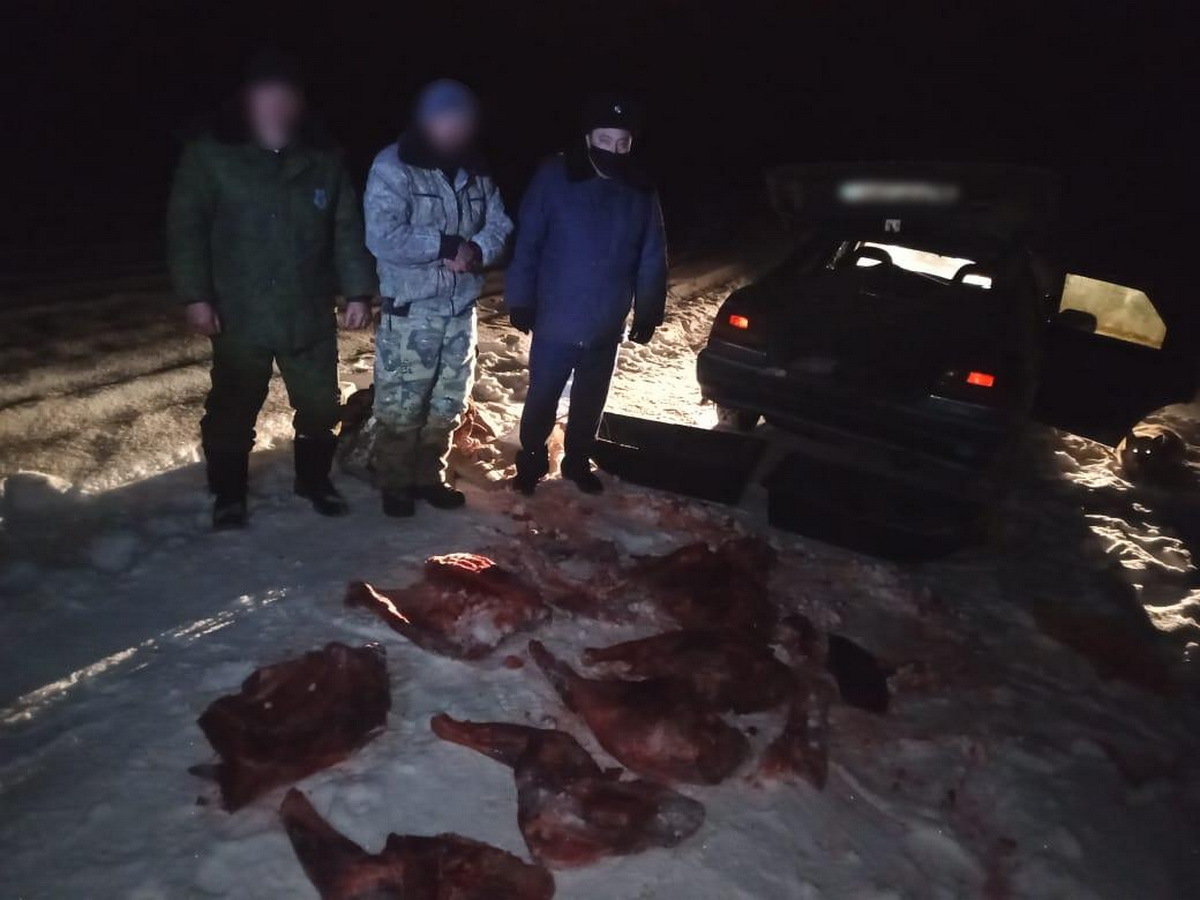 В ВКО полицейские задержали браконьера