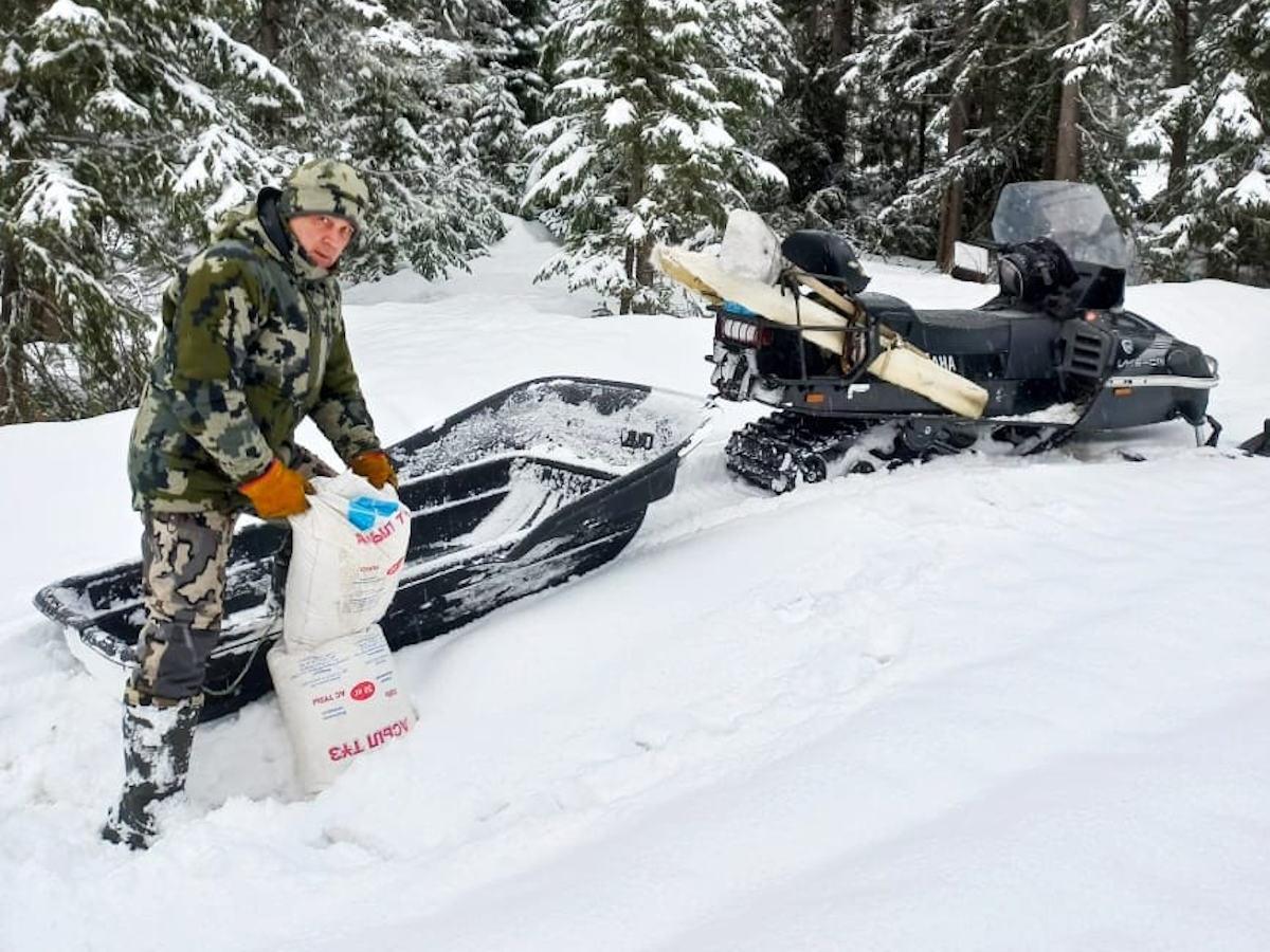 В ВКО для мигрирующих копытных обустраивают солончаки 
