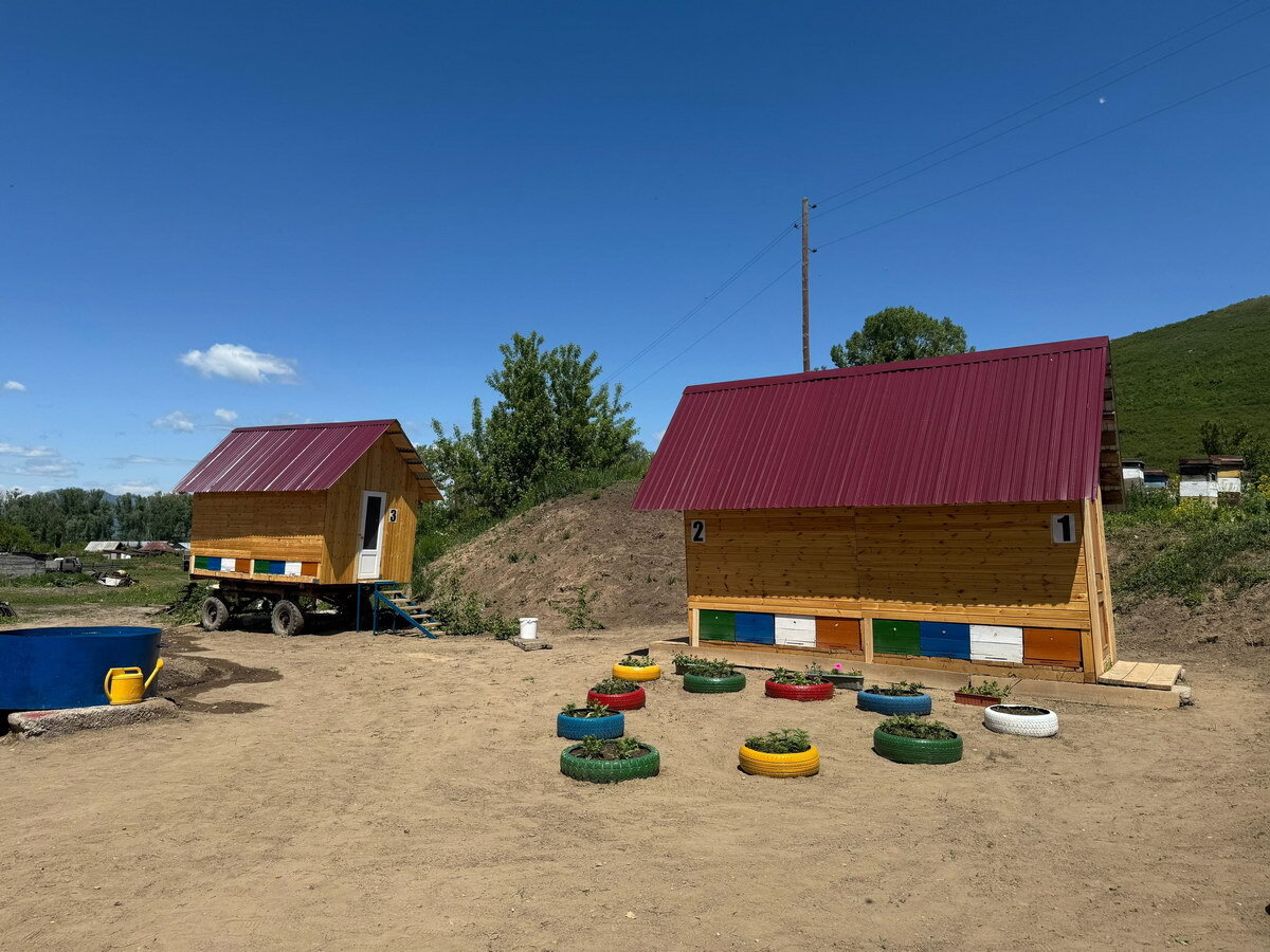 В районе Алтай Восточно-Казахстанской области открыли апидомики для туристов