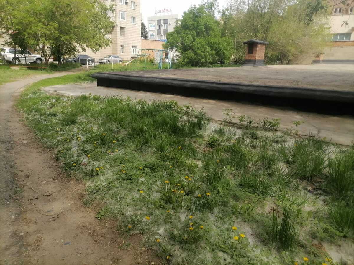 В Усть-Каменогорске в начале мая полетел тополиный пух