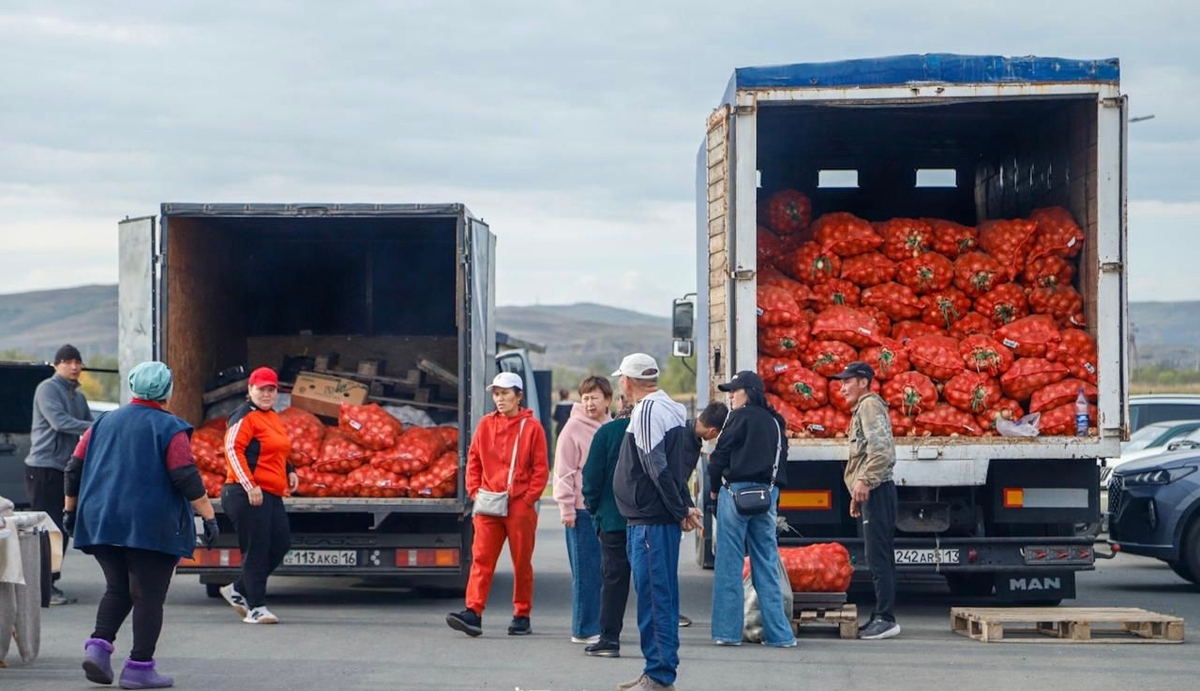 В Усть-Каменогорске стартует продажа овощей по стабилизированным ценам