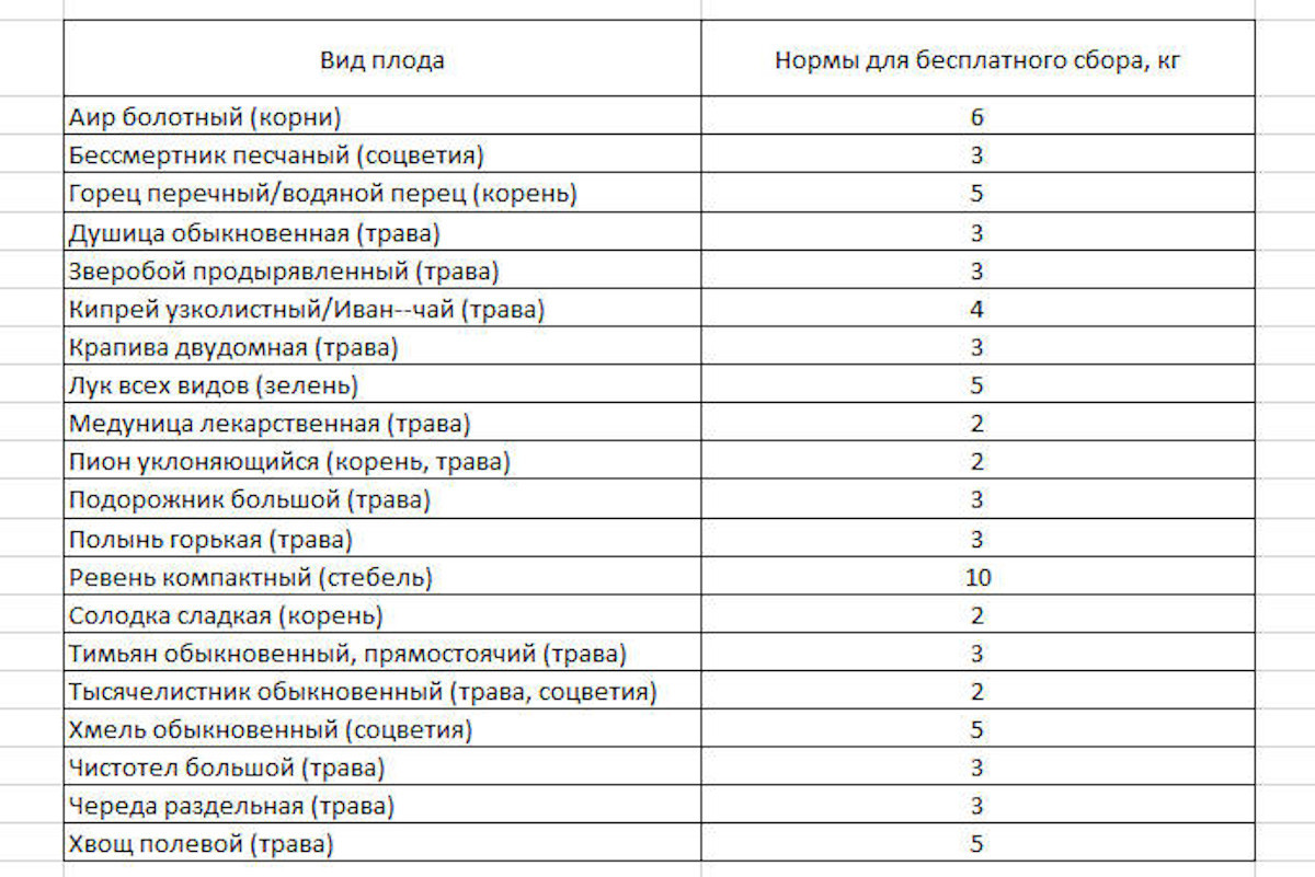 Сколько ягод, грибов, орехов может бесплатно собрать каждый человек?