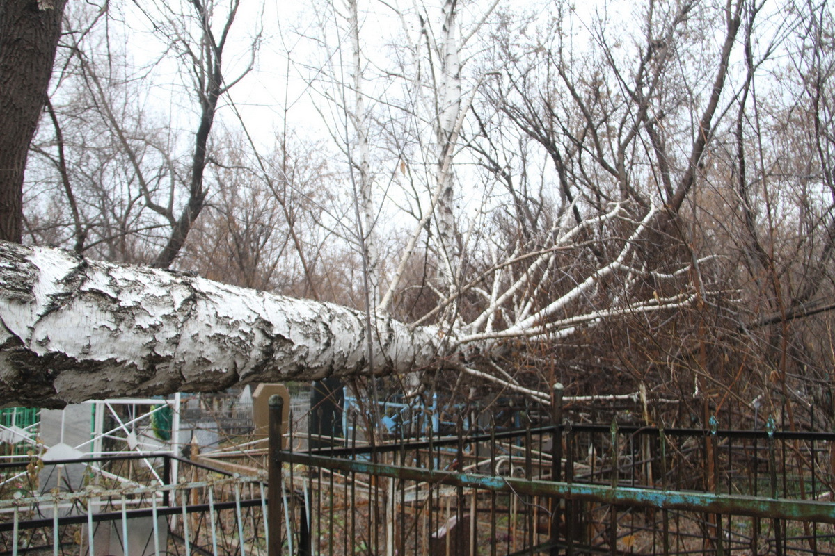 Жители Усть-Каменогорска жалуются, что городские кладбища погрязли в мусоре