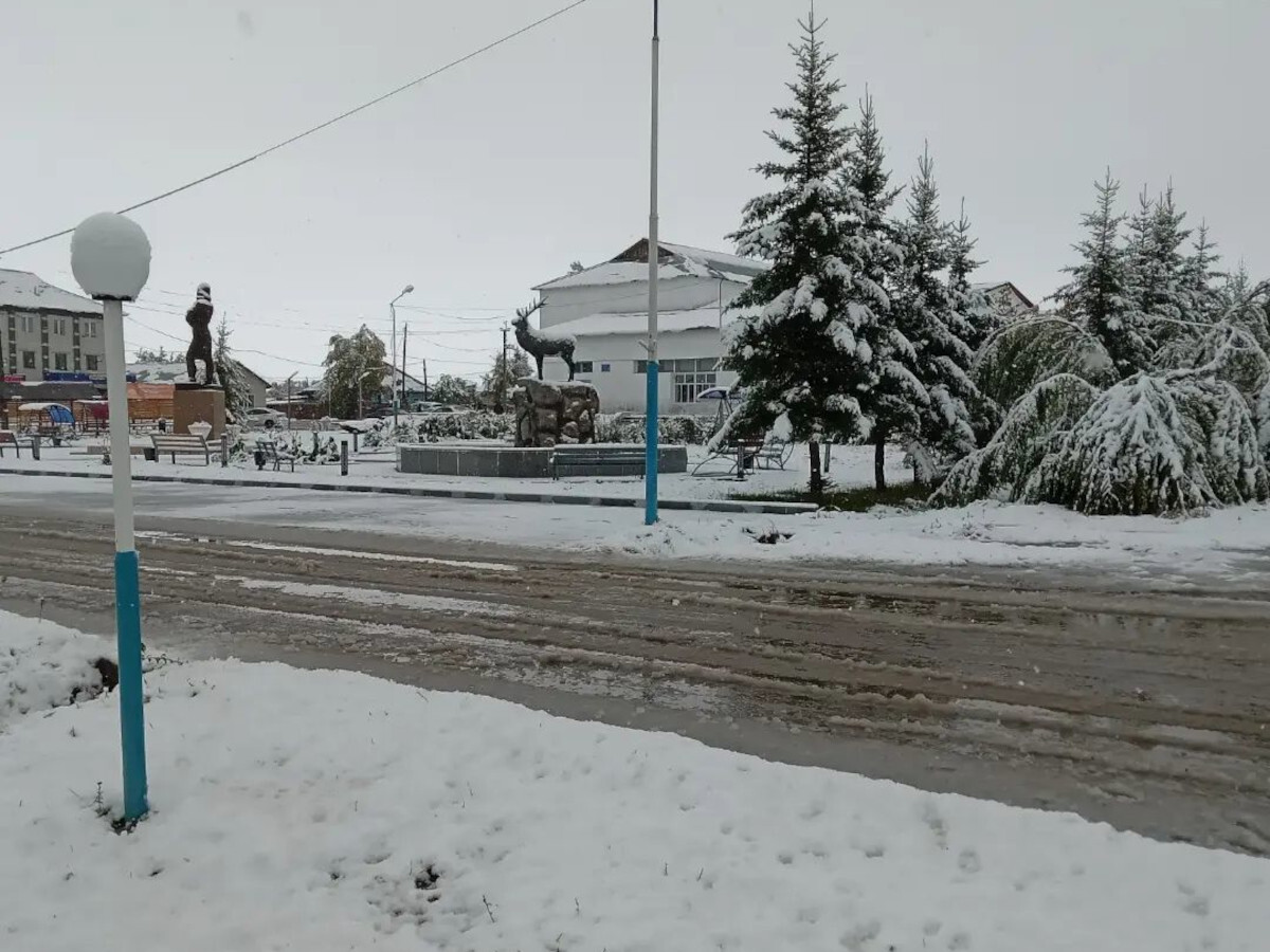 Жители ВКО делятся заснеженными пейзажами