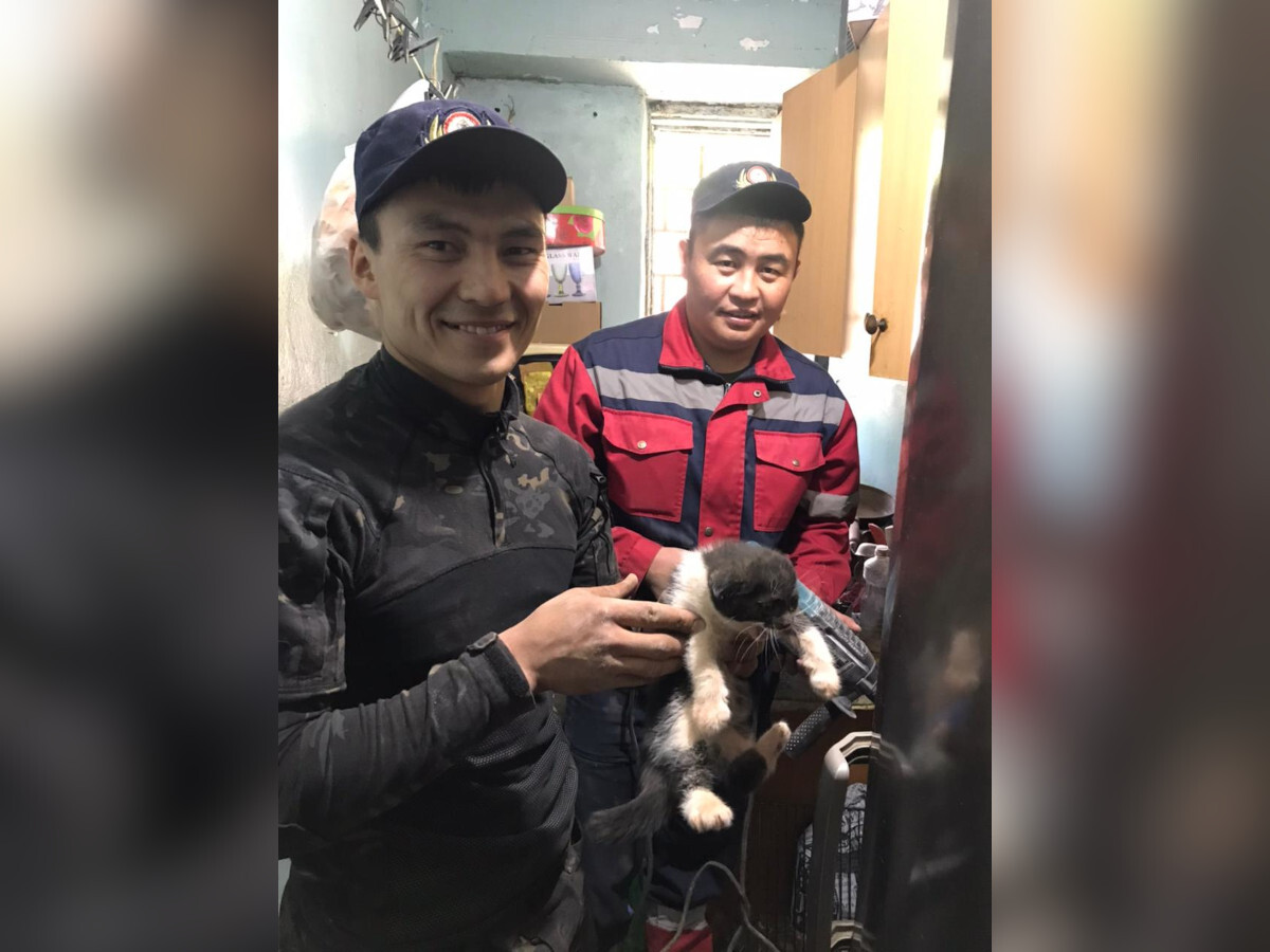 В Усть-Каменогорске сотрудникам ДЧС ВКО пришлось спасать котёнка