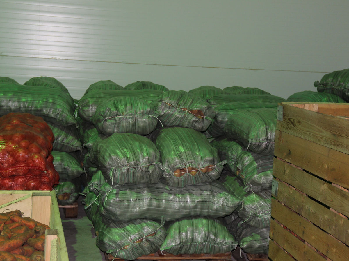 В Казахстане дешевеют молоко и овощи — чиновники