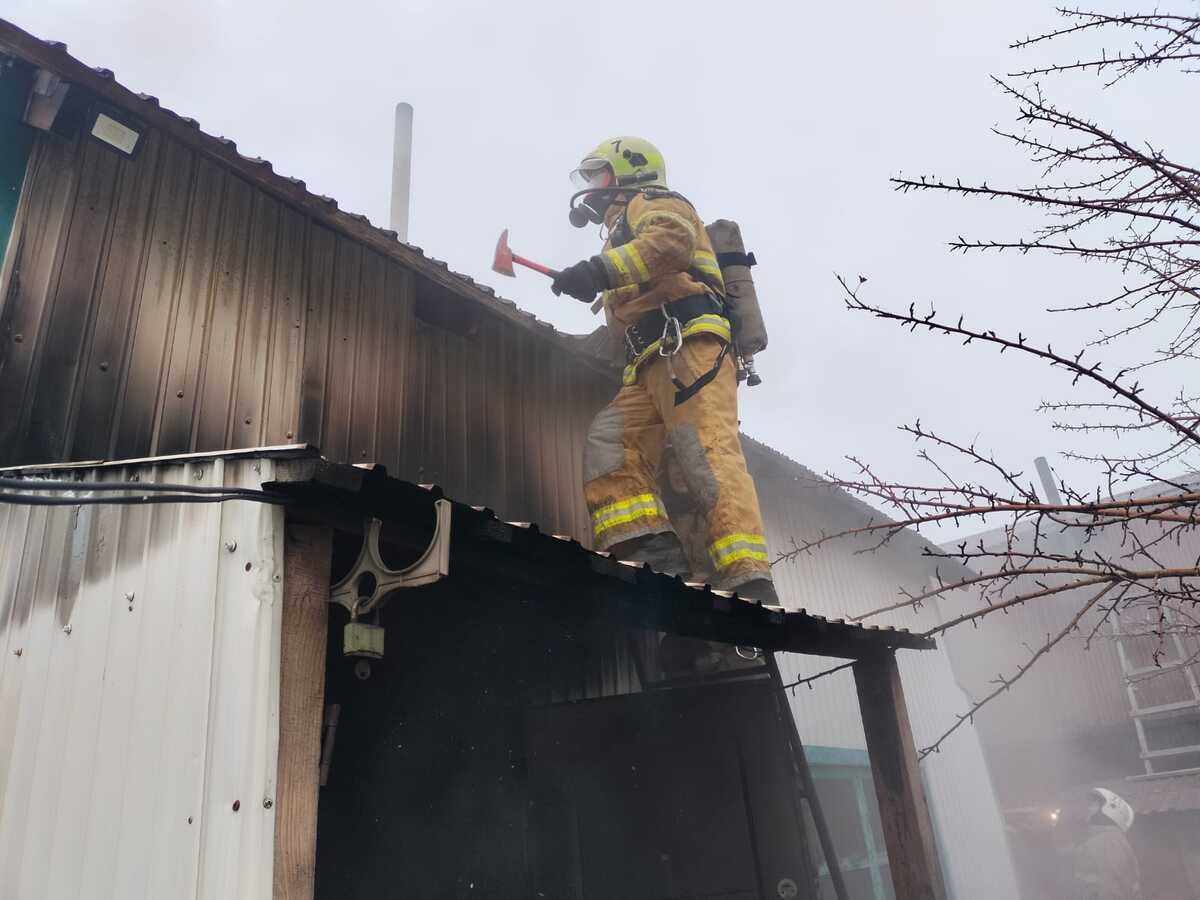 В Усть-Каменогорске в пожаре погибли животные