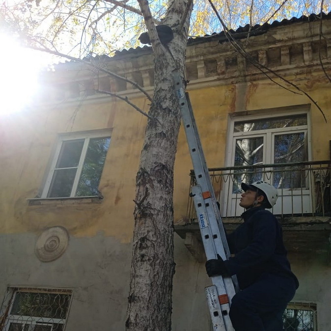 В Усть-Каменогорске спасатели оказали помощь животным