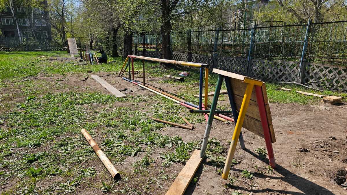 Площадка для дрессировки собак появится в Усть-Каменогорске