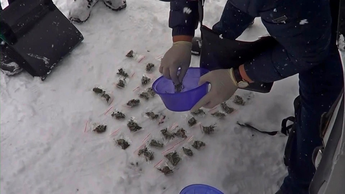 Полицейские нашли в автомобиле жителя ВКО наркотики и пистолет