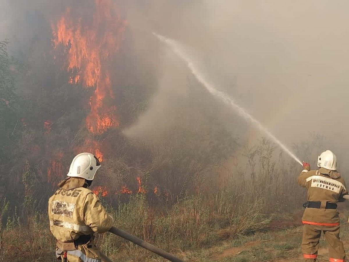 В Абайской области продолжается тушение крупного лесного пожара