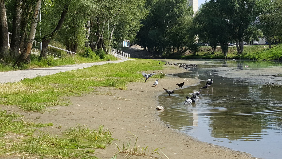 Где купаются устькаменогорцы в летнюю жару?