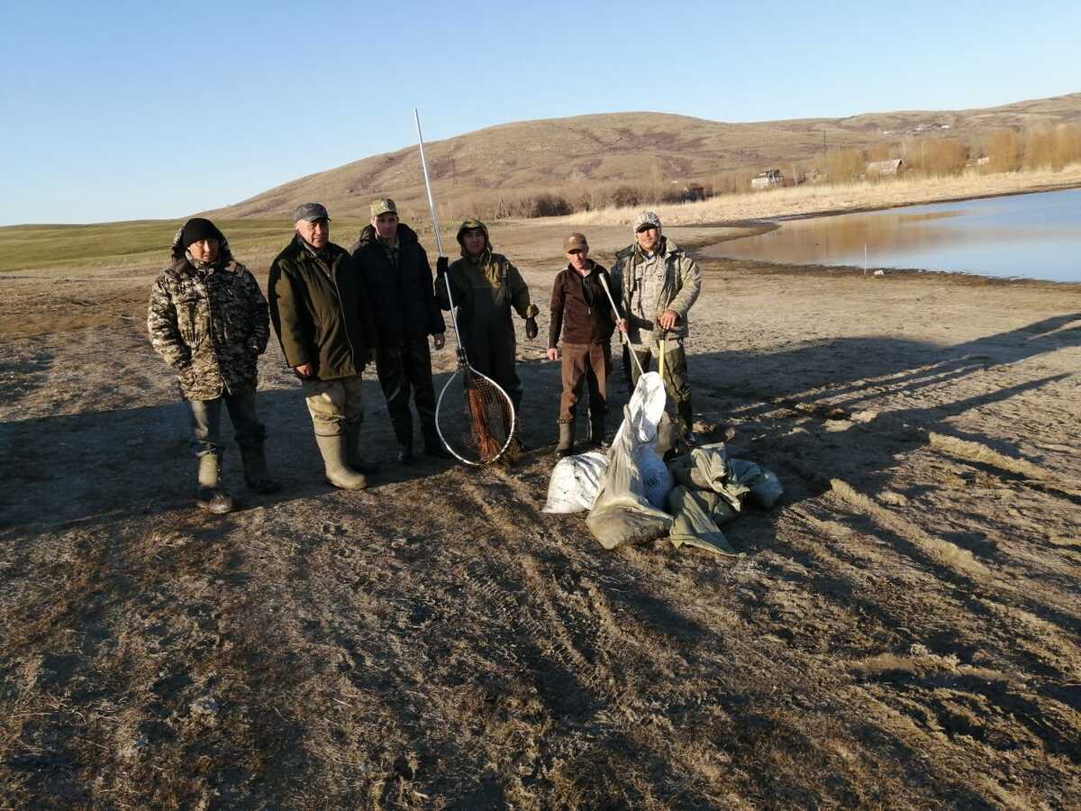 В одном из водоемов ВКО погибла рыба