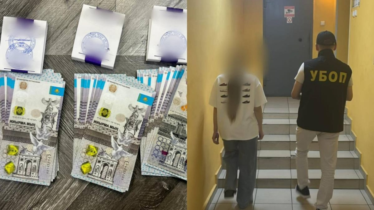 Полицейские задержали иностранку, которая прибыла в Казахстан, чтобы продать почку