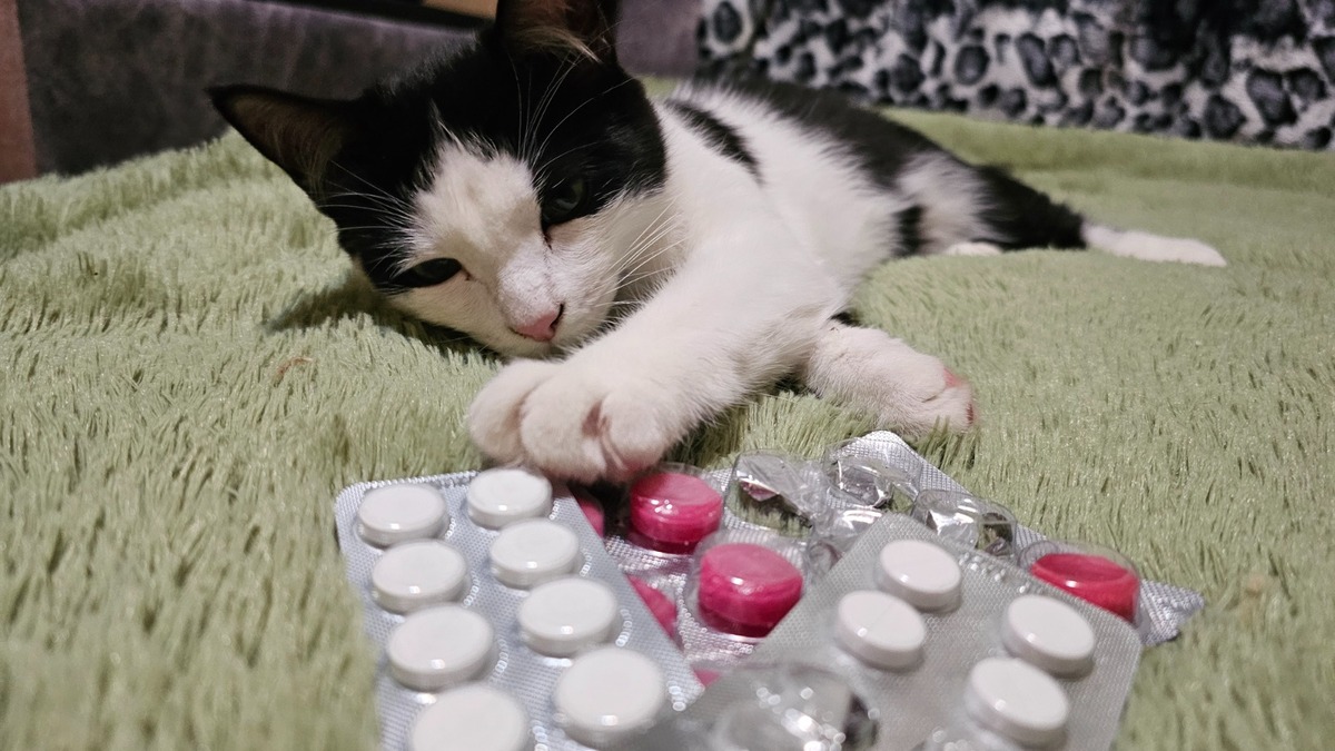 В ВКО наблюдаются перебои с выдачей некоторых бесплатных лекарств