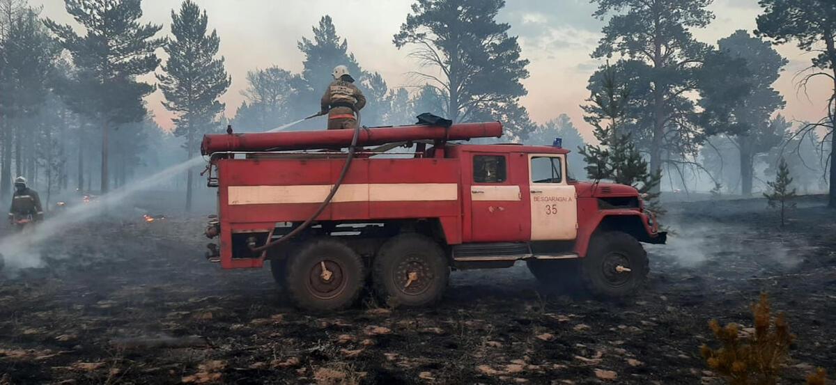 Больше половины лесных пожаров в ВКО произошло из-за грозовых разрядов