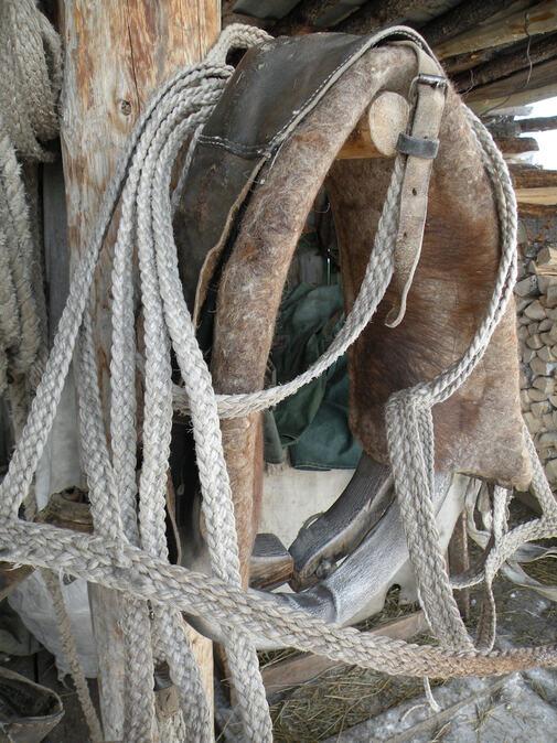 В ВКО живёт представитель исчезающей профессии