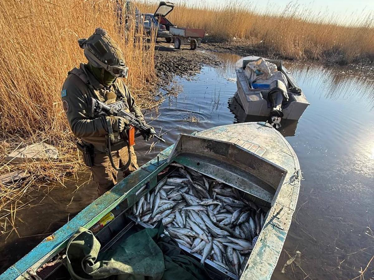 В ВКО полтонны рыбы изъяли у браконьеров на озере Зайсан