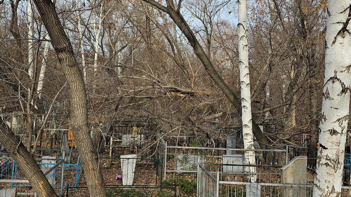 Можно ли навести порядок на старейшем кладбище Усть-Каменогорска?