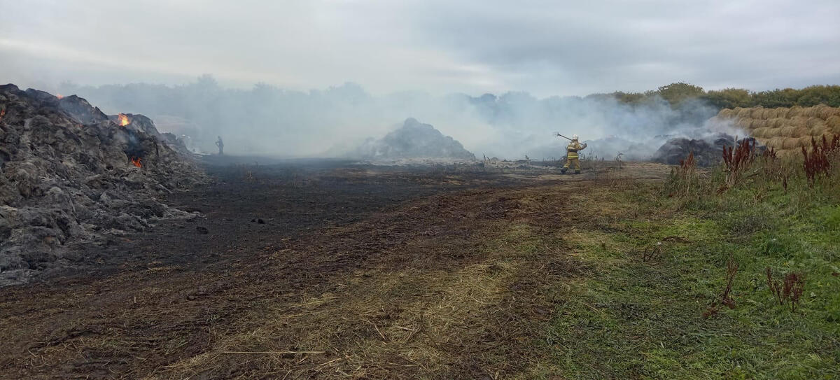 500 тонн сена сгорело в одном из крестьянских хозяйств ВКО 