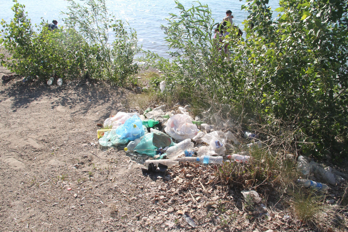 Почему самый удобный пляж в Усть-Каменогорске является несанкционированным 