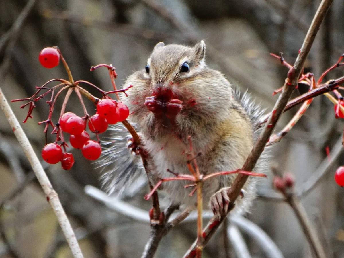 В Усть-Каменогорске состоится фотовыставка конкурса #AltaiPhotoLife